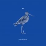 IKB "Limosa limosa" CD sleeve illustration by Dilar Pereira