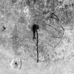 smithereens on the wall