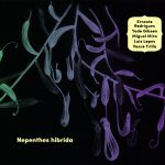 Ernesto Rodrigues + Yedo Gibson + Miguel Mira + Luis Lopes + Vasco Trilla "Nepenthes hibrida" CD sleeve