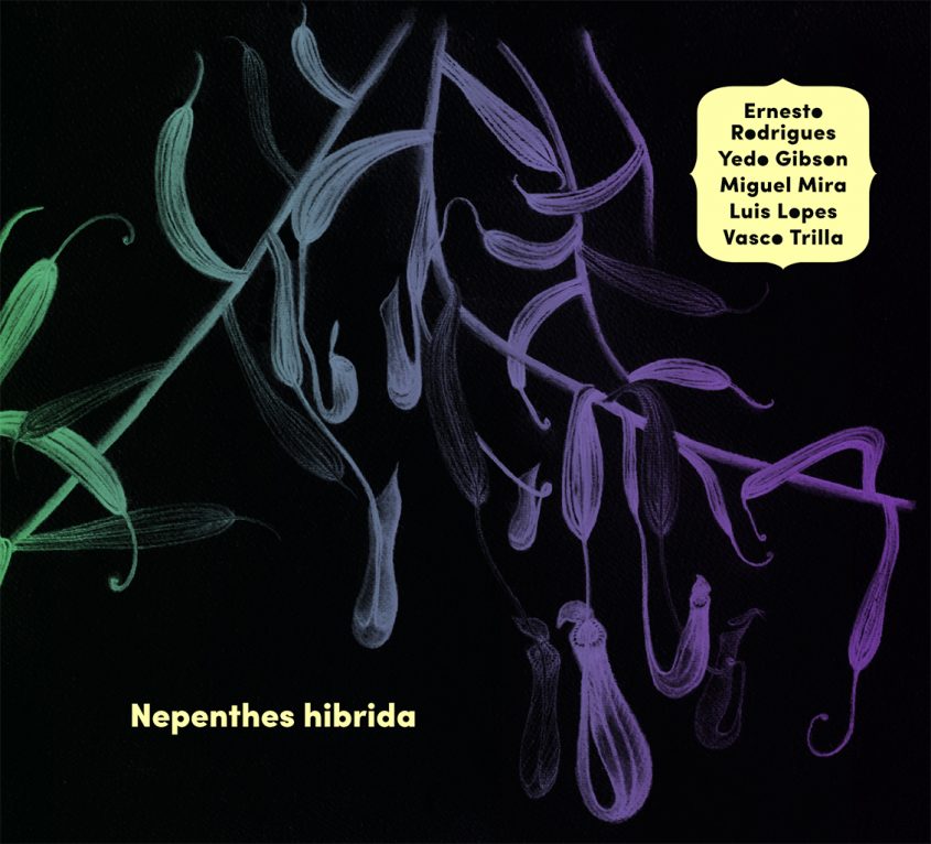 Ernesto Rodrigues + Yedo Gibson + Miguel Mira + Luis Lopes + Vasco Trilla "Nepenthes hibrida" CD sleeve