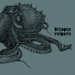 Octopus Ensemble "Octopus Vulgaris" CD sleeve