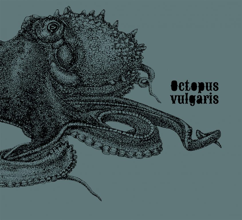 Octopus Ensemble "Octopus Vulgaris" CD sleeve