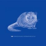 IKB "Paradoxurus hermaphroditus" CD illustration by Dilar Pereira