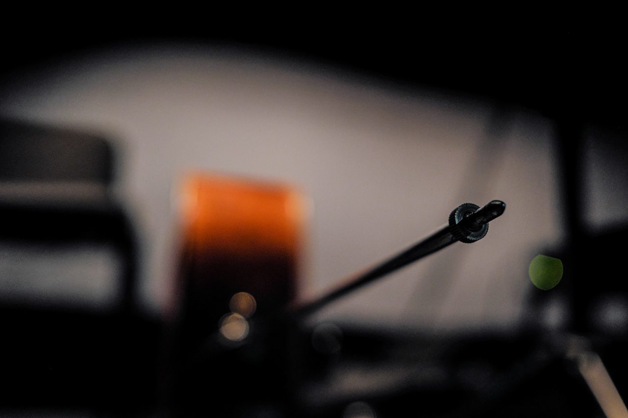 Ricardo Jacinto's cello