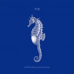 IKB Ensemble "Hippocampus guttulatus" CD sleeve