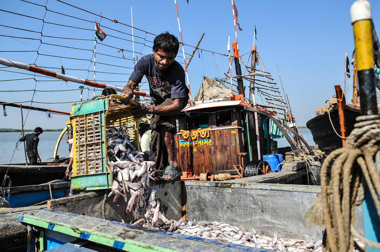 Vanakbara, India, 2011