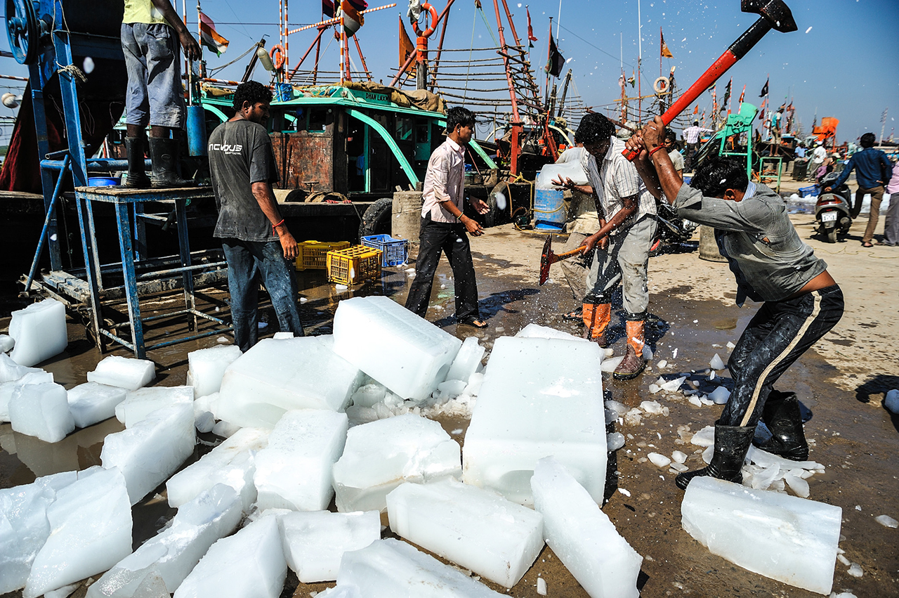 Vanakbara, India, 2011