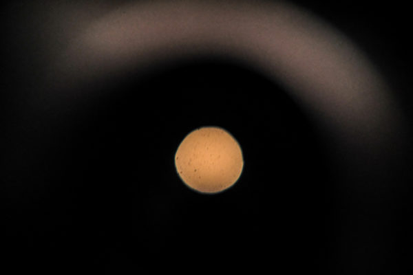 Peter Gabriel sound installation