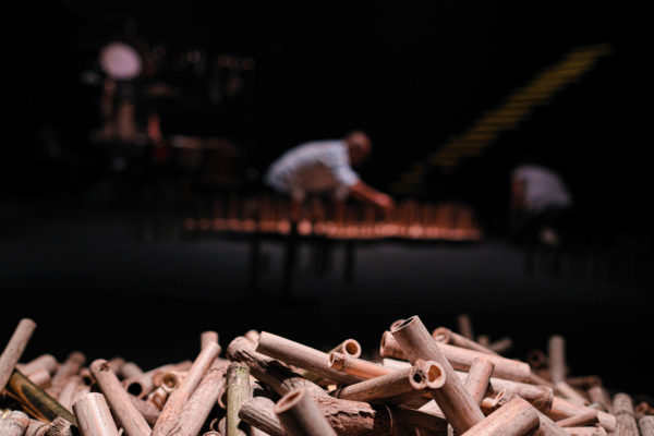 the canes and the sight