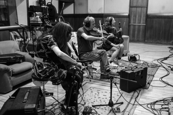 the acoustic string section