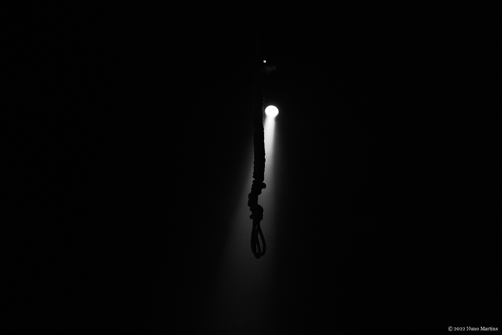 Fung Neo & Laboranta: OGLED