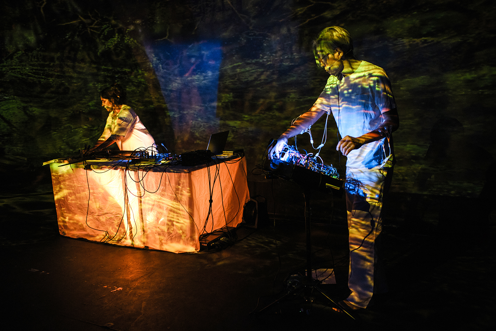 Adriana Sá & Atau Tanaka