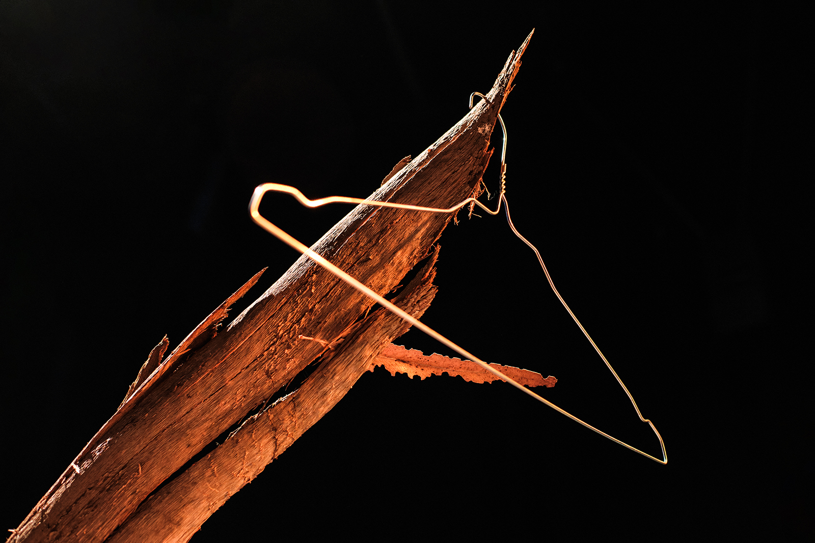 Pistoletto’s objects