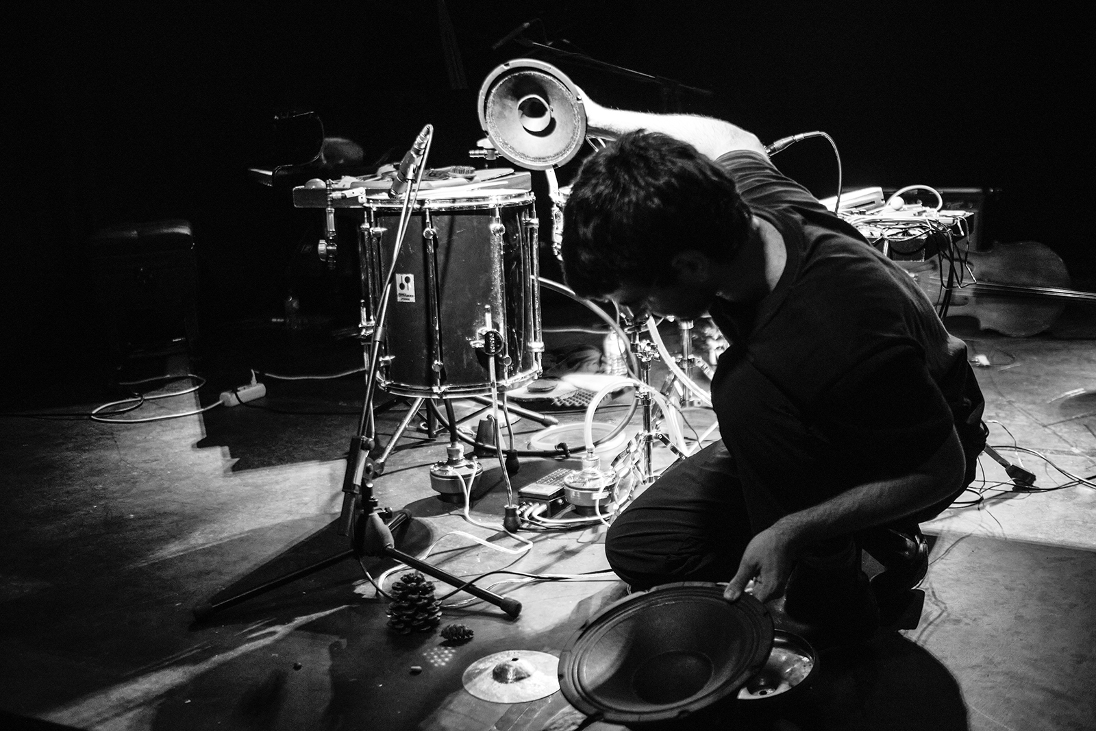 exploring the loudspeakers feedback