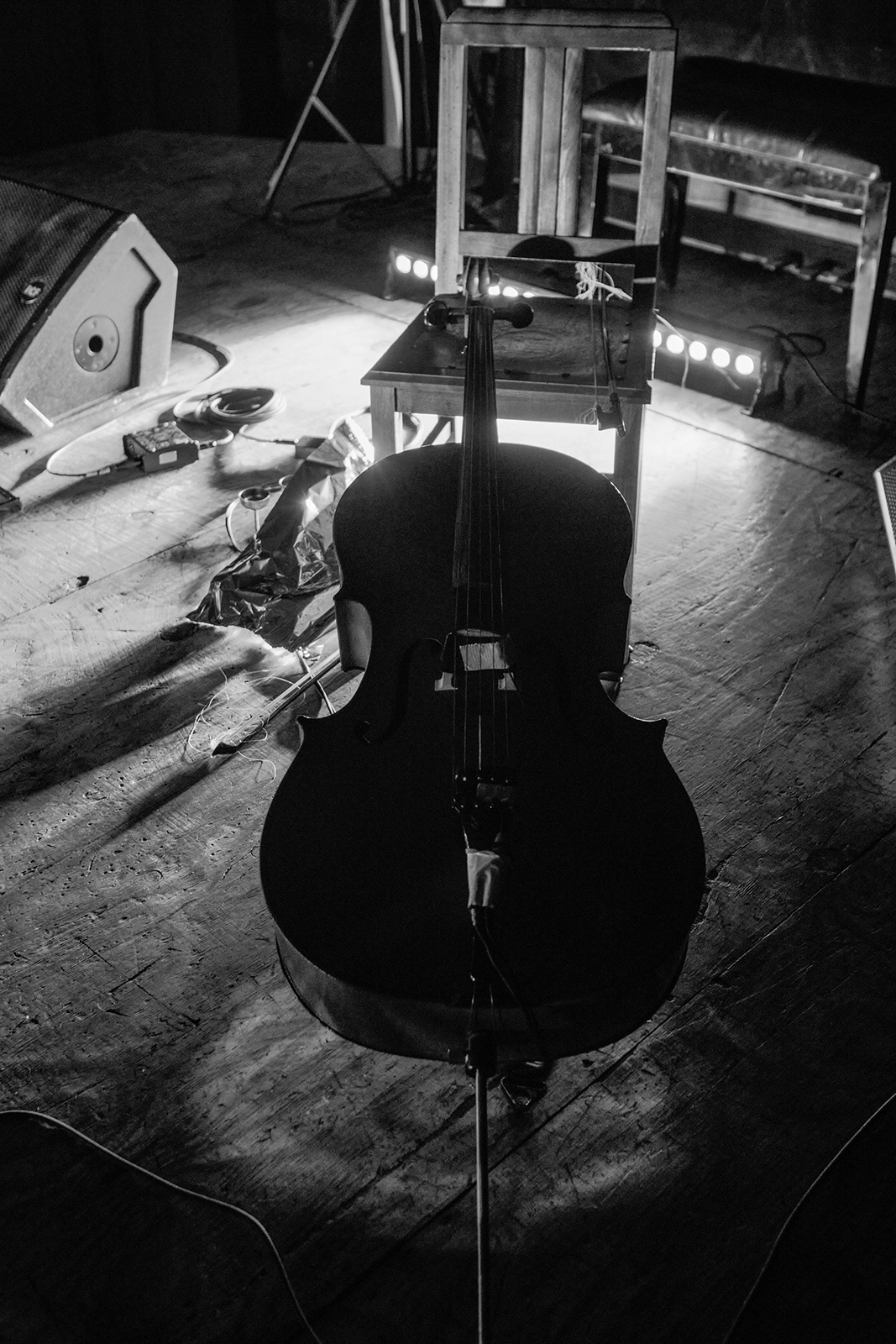 Paula Sánchez's cello